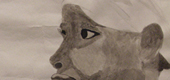 Magazine Drawing