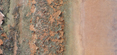 Wall Texture